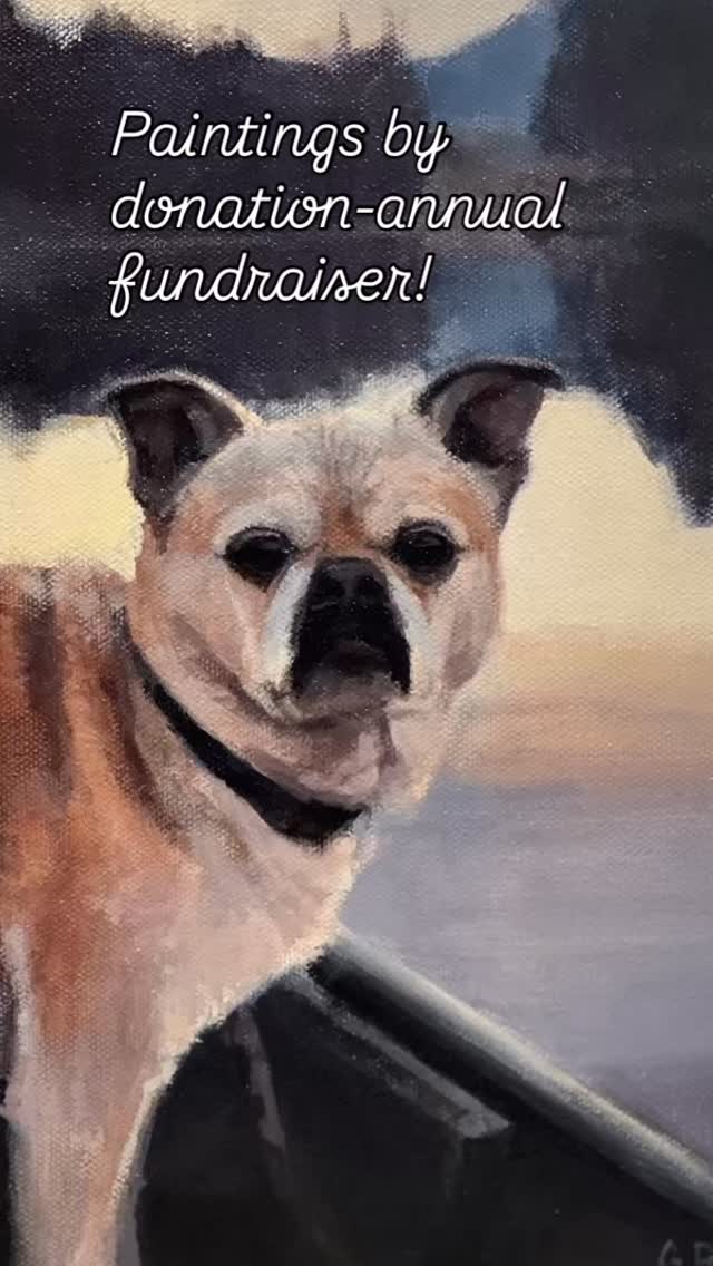 First one done! The others started!
A couple of weeks ago, I let everyone know that I wouldn’t be doing my Painting a Day challenge, but instead offered to do two paintings in exchange for a donation. Well, very quickly, I got 5 commissions before I could update my post!
Here is the progress, so far. One done, and the rest in the works.
The donations will be going to the Chiron Fund at the Vancity Community Foundation, set up in memory of my sister.
Ps. I don’t usually paint with a grid, but this helps in exacting portraits. #bcartist #petportrait #vancitycommunityfoundation