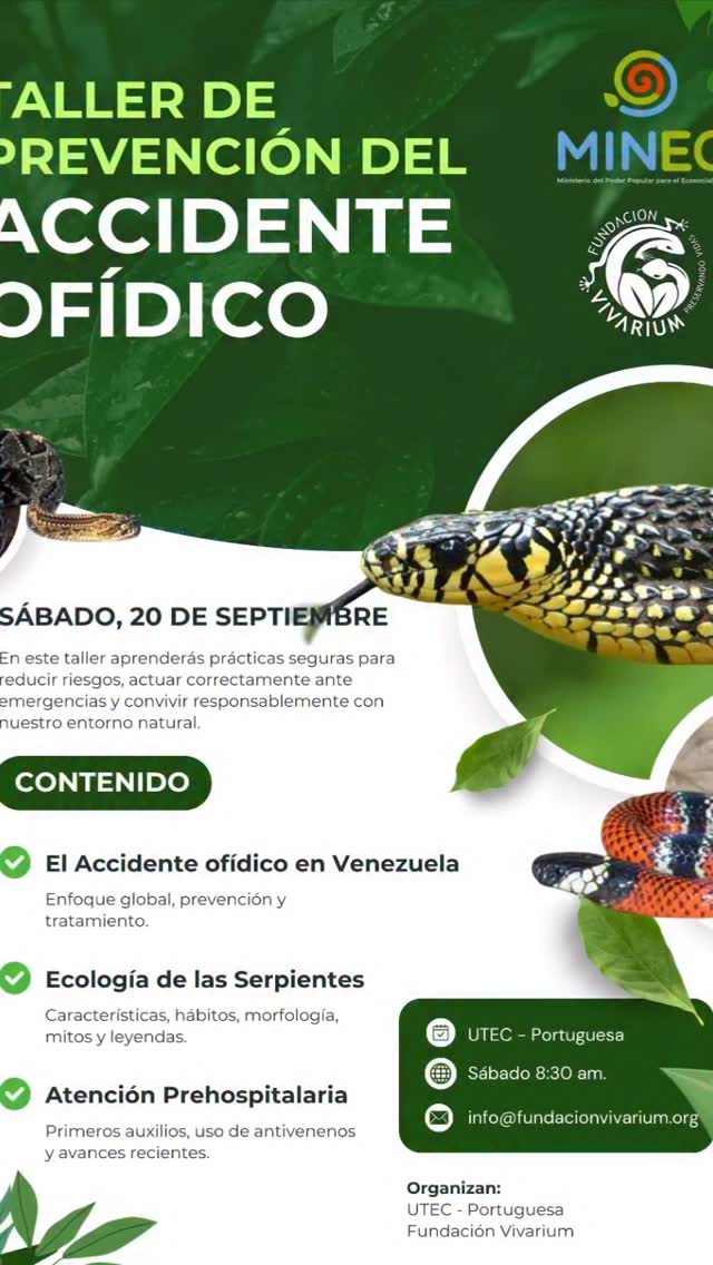 Hoy estamos en Minec Portuguesa, compartiendo nuestra labor y programas . Te esperamos. #minec @minecosocialismo_ve @diversidadbiologicaoficial @ecosocialismoportuguesa_ve #preservandovidas