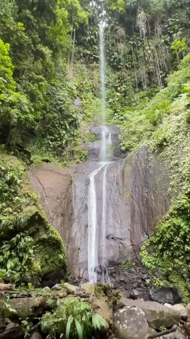 ✨ Découverte des cascades de Fond Combat ✨
Un site préservé au cœur de la Basse-Terre.
⚠️ Attention : le parcours demande une bonne condition physique
📍Guadeloupe
👉Notre article pour y aller est disponible sur randonnons.com
#Randonnons #Guadeloupe #Cascade #Randonnée #FondCombat #Nature #Aventure