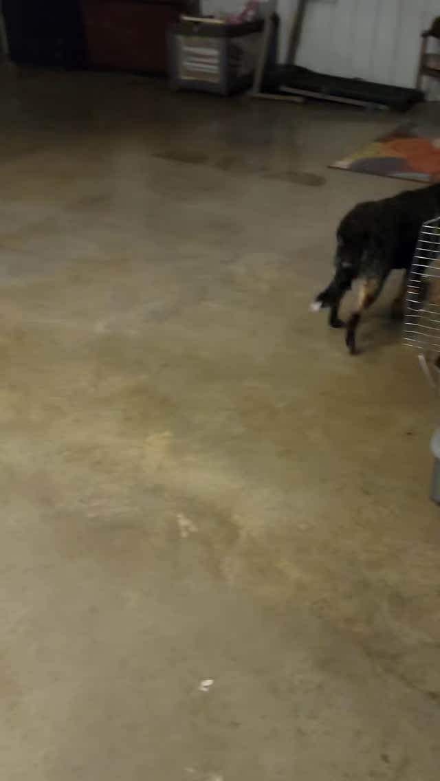 Barsa and Sister say hello!