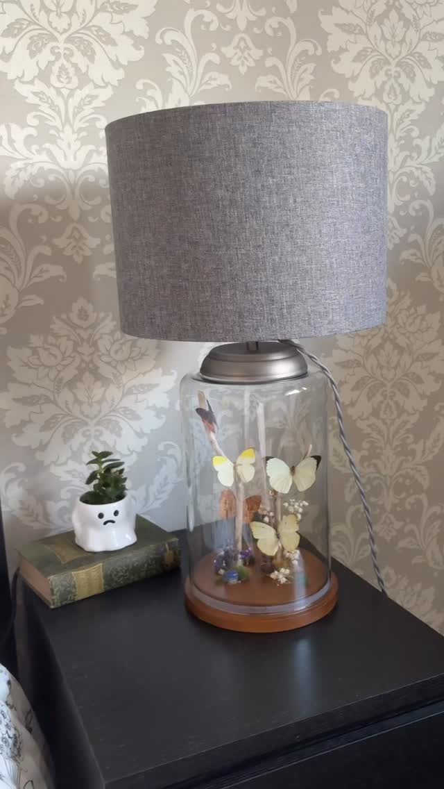 🌿 Elegant Showcase
✨ Transform your space with this one-of-a-kind Charaxes Butterfly Dome Lamp.
Handcrafted with preserved butterflies inside a glass cloche, paired with a soft grey shade for a warm, inviting glow.
✔️ UK plug, corded wire & switch
✔️ Felted base to protect your furniture
✔️ Takes a standard screw-fit UK bulb
A perfect statement piece for collectors, nature lovers, and anyone who wants to bring a little wonder into their home. 🌸🦋
Shop now via the link in our bio
#ButterflyArt #ButterflyDecor #ButterflyLovers #NaturalHistory #CuriosityCabinet #SpecimenArt #ButterflyCollection #UniqueHomeDecor #EclecticInteriors #StatementLighting #InteriorInspo #HomeStyling #ModernVintage #InteriorGoals #WhimsicalDecor #ElegantLiving #InteriorObsessed #CottageCoreDecor #DarkAcademiaAesthetic #CuratedHome