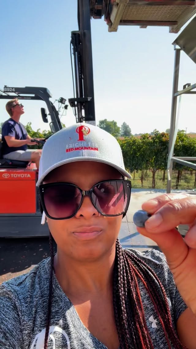 Harvest is in full swing at Frichette, and this moment is extra special. Greg and I (I’m Shae and Greg and I are winemakers/owners of Frichette Winery) are on the Crush Pad working on our very own Estate Cabernet Franc, a dream possible because of YOU, our incredible club members and guests who support us vintage after vintage. We appreciate you!!!!!
We welcome the cool mornings and the warm sun for a long days work outside crushing grapes. Right now our patio is the perfect spot to soak in the sights, sounds, and energy of harvest. It truly is a front-row seat to the magic behind our winemaking.
We’re open daily from 12–5 p.m. Come out, sip with us, and be part of the 2025 harvest adventure.
Quick note….this Estate Cab Franc was picked in October last year! This vintage is keeping us on our toes!!!!
#FrichetteWinery #RedMountainAVA #EstateGrown #CabernetFranc #WashingtonWine #HarvestSeason #WineryLife #CrushPad #WinemakingJourney #SipWithUs #WineLovers #WineryPatio #FrontRowToHarvest #WineryVibes #WAWine