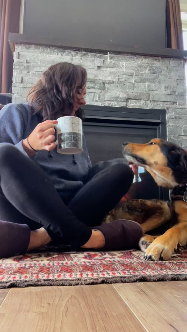 My guy, my sweet boy, my Dusky butt. Getting use to life without you is one of the hardest things I’ve ever had to do 💔 I am grateful for all the life we lived together and my heart hurts for what we missed out on.
Pet loss is a dagger. The harder you love, the harder you grieve and I loved him so dang much.