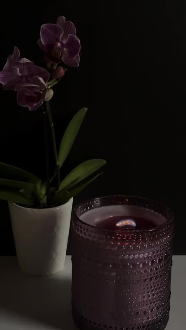 Your new candle obsession drops 10.10 🕯💜
The Bewitched Orchid Candle is coming to enchant your space with a cozy, floral-spicy scent, a crackling wooden wick, and a shimmer of glitter in every flicker. Perfect for fall nights, self-care rituals, or just treating yourself… because magic like this shouldn’t wait. ✨
www.blkroseself-care.com