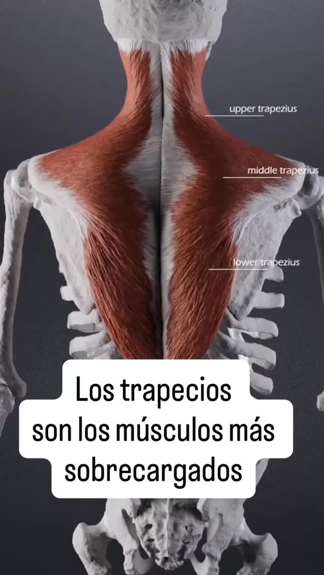 Cuida tu cuerpo 🙂🙌 agenda una cita hoy.