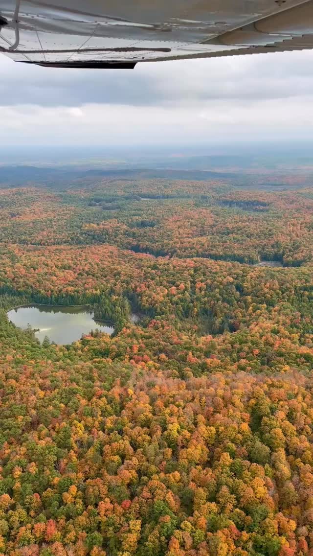 From the plane, the fall colours stretch endlessly—reds, golds, and oranges blending into one vast masterpiece. Everything, everywhere, all at once.