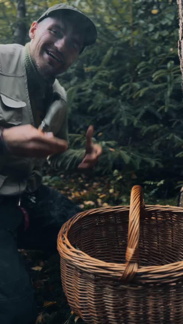 🍂 Die Krause Glucke – auch Fette Henne genannt – ist da!
Ein besonderer Speisepilz, der jetzt im frühen Herbst an den Wurzeln von Kiefern wächst. Mit ihrer außergewöhnlichen Form sieht sie fast wie ein Schwamm aus – und genau so saugt sie auch Soßen wunderbar auf.
👉 In der Küche ist die Krause Glucke vielseitig:
• Als Pilz-Pfanne mit Zwiebeln, Knoblauch & Petersilie gebraten.
• Oder als Krause-Glucken-Rahmsuppe – cremig, aromatisch, perfekt für kühle Herbsttage.
✨ Besonderheit: Sie ist nicht nur lecker, sondern auch reich an Eiweiß und Ballaststoffen – ein echter Waldschatz!
Hast du sie schon mal gesammelt oder probiert? 🤔
Schreib’s mir in die Kommentare und melde dich gern für meine Pilzwanderungen auf www.freigefuehl.de an 🍄🌲
#KrauseGlucke #PilzeSammeln #EssbarePilze #FetteHenne #Herbstküche #Pilzliebe #freigefühl