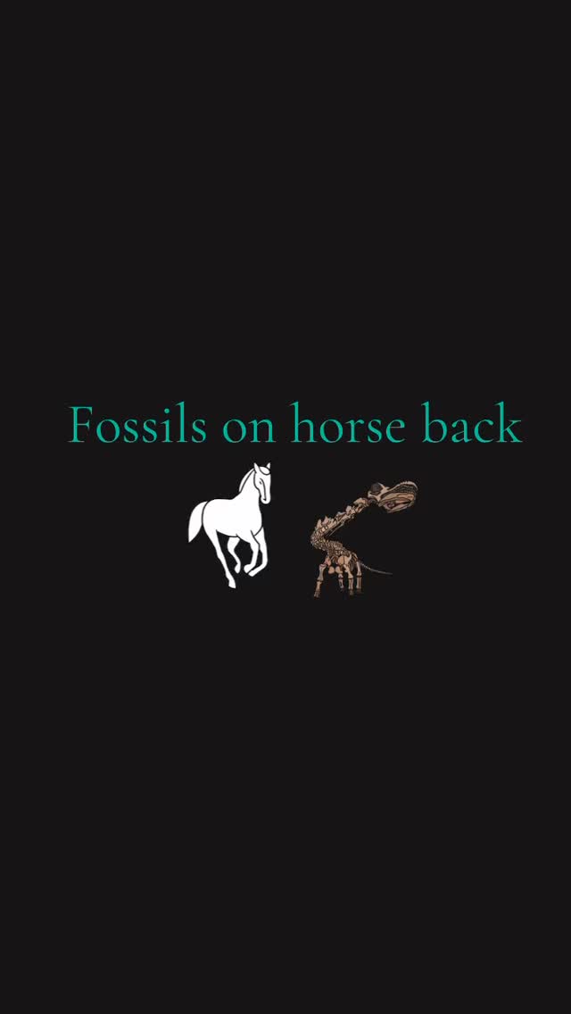 @fundygeomuseum partners with us to do amazing tours on horseback !!