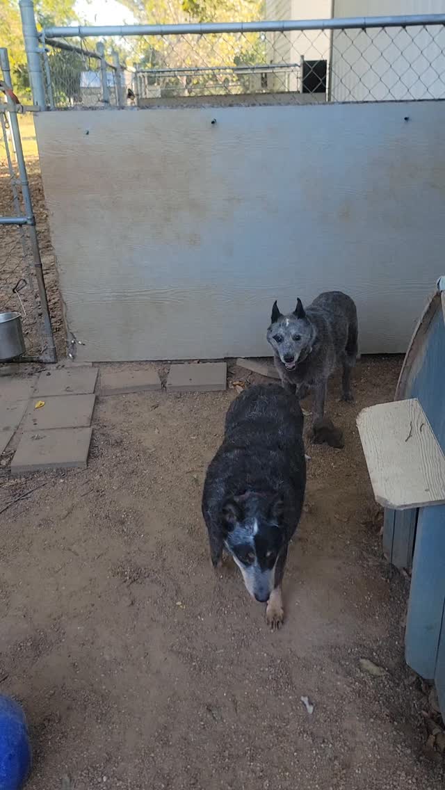 The sweetest olds 💕 I love them so much