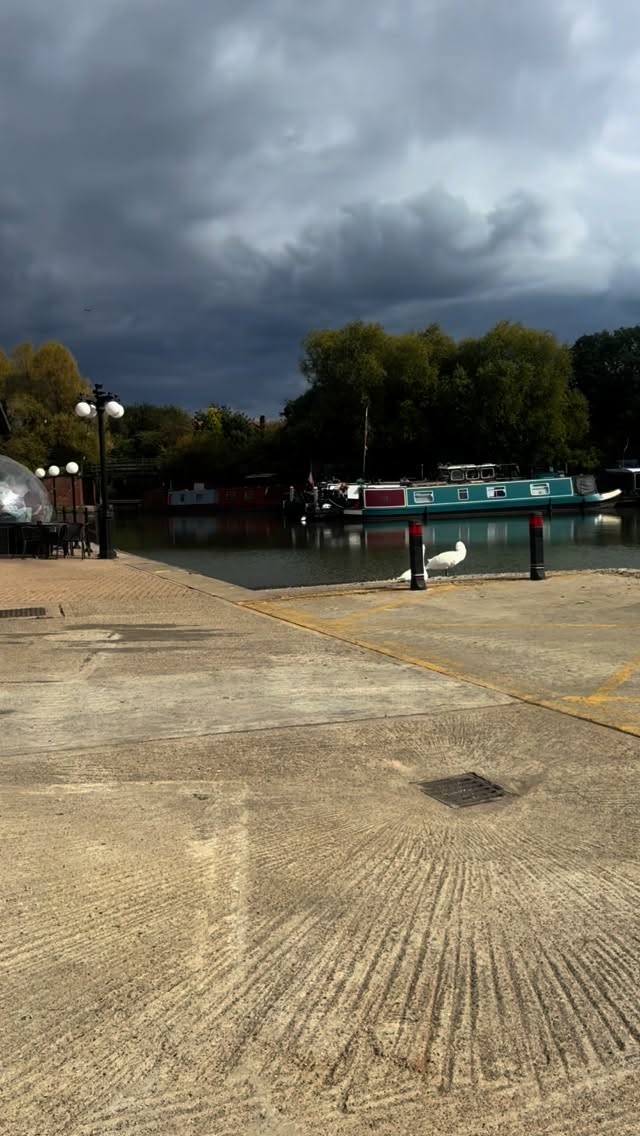 We’re opening a new chandlery & need your help, you’ll get the chance to win a £50 voucher! ⚓️
https://forms.gle/jN6YmFnimYKBrvB8A
#widebeamcanalboat #londonboaters #boatoffers #narrowboatlife