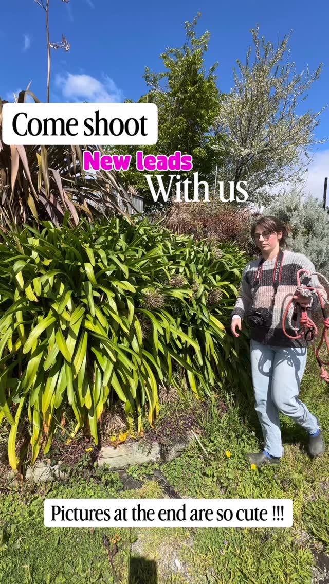 Come shoot our new colours for our leads. We always try to make this super fun for Kiwi !!!
Take a look at our website for the new drop ❤️🤍🩷
www.ratuski.co.nz