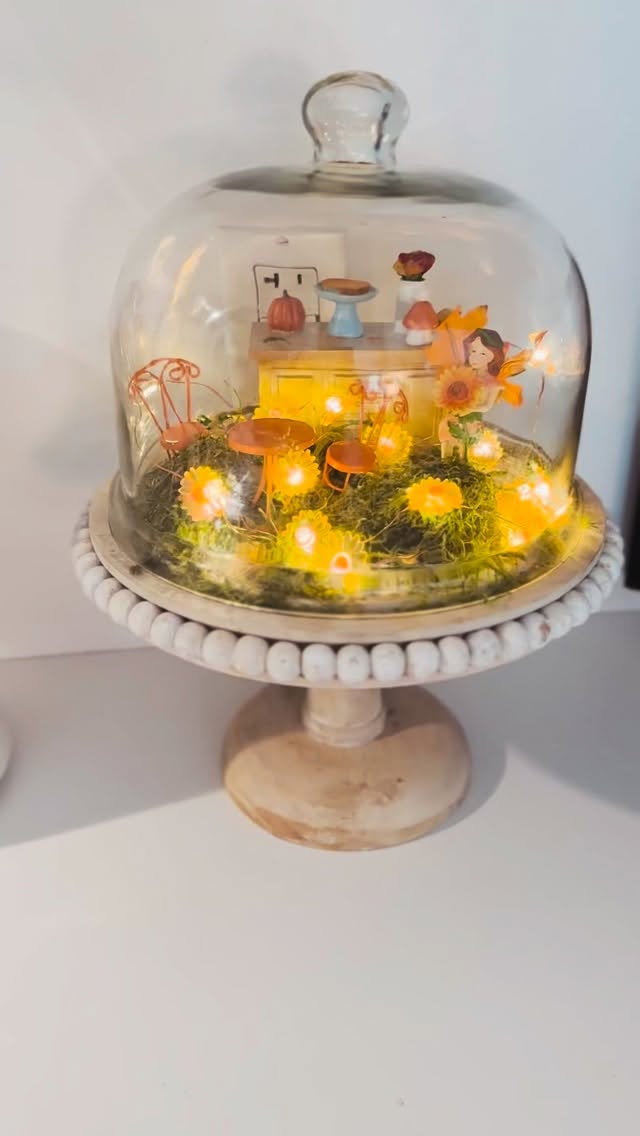 Mini kitchen fairy garden is up…must be almost Fall 🌻🍁
#fallvibes #kitchen #cozykitchen #cozyvibes #sunflowers #falldecor #fallstyle #falldecorating #fallfairygarden #fairy #fairygarden