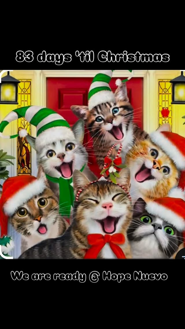 Ready for Christmas