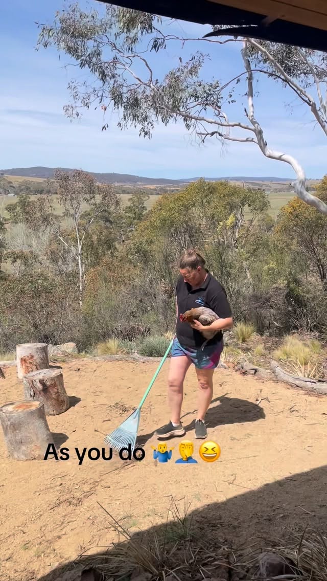 It’s probably easier without the chicken…. Just sayin’.
#lappifarm #snowyriver #farmstay #farmlife #destinationjindabyne #snowymountainsnsw