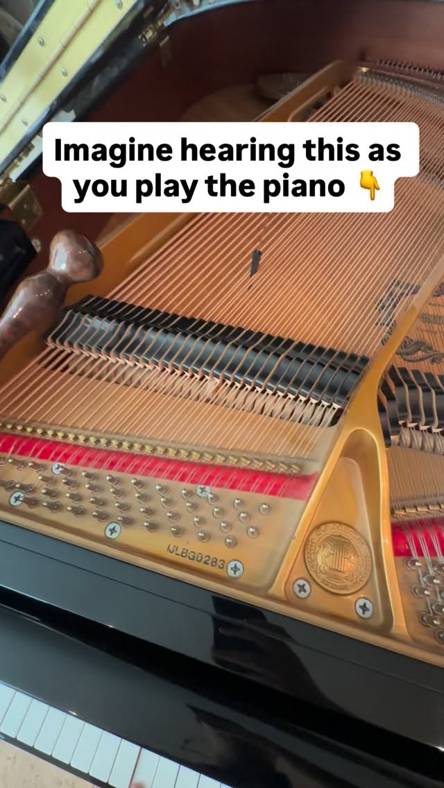 Have you ever heard a click, buzz, or squeak from your piano before?
#matthewbraidleypianos #pianotechnician #pianotuner #pianorepair #grandpiano #babygrand #homeservice #pianistsofinstagram #homerepair