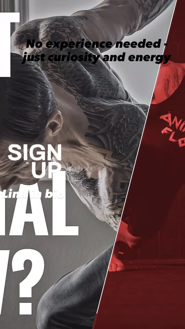 Open to anyone interested in trying Animal Flow. Come experience the health, strength and fitness benefits of this fun discipline.
3 options to try w/c 6 Oct. Cant make that, then sign up for our 2 day Level 1 Workshop with Master Instructor Rosh.
Already a practitioner, come to our Jam 23 November 9:00am!