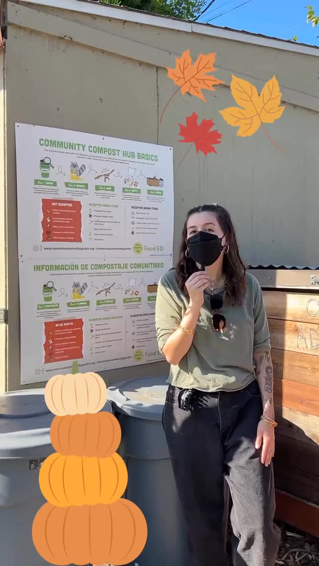 Happy October! We’re so excited to see all your cool carved pumpkins, and hope to see them (chopped up) in our community compost bin when you’re all done with them so that they can break down into nutrient rich compost and stay out of the landfill! 🎃♻️ Check out this video for tips on what pumpkins can and can’t be composted this fall!
.
.
.
#compost #communitycompost #communitygarden #monrovia #sangabrielvalley