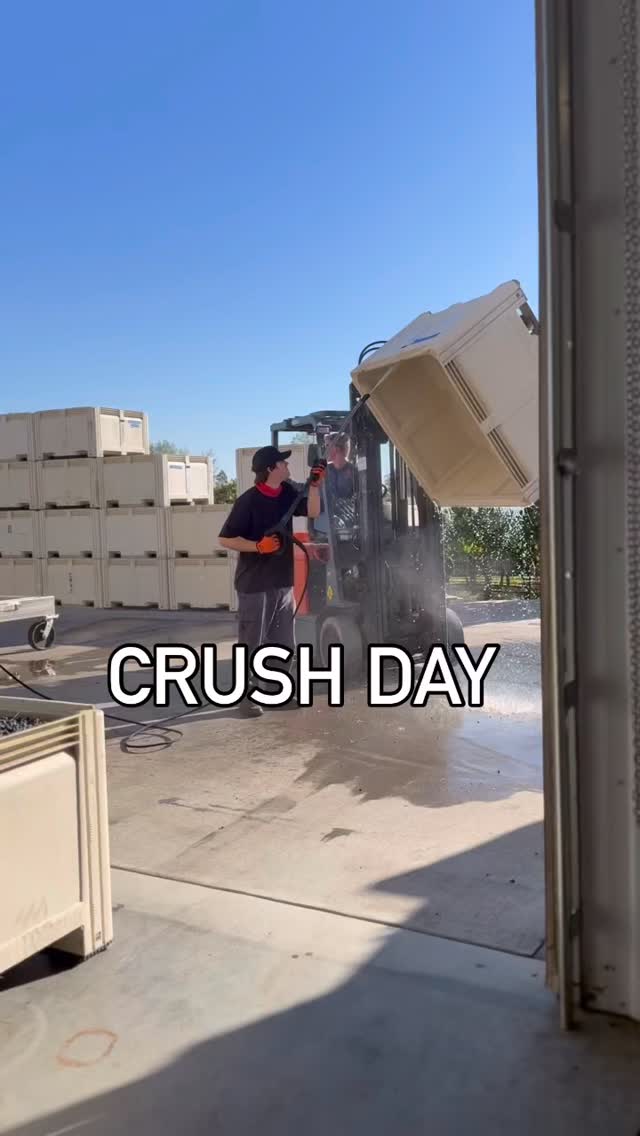 Crushing it!!!! 12 ton of wine grapes getting destemmed and crushed today in preparation to start making it into the Red Mountain red wines you love. Greg, Shae and our intern Colin are crushing it…literally! Happy harvest!