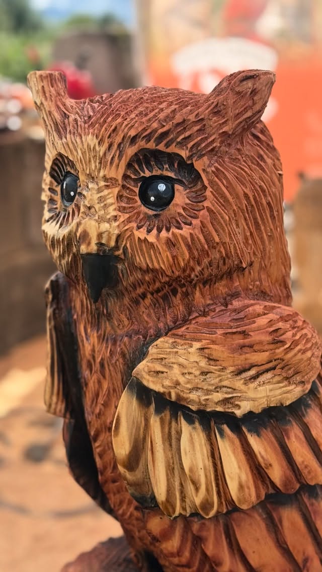 Ich wollte eigentlich nur ’nen Löffel machen… jetzt wohnt ’ne Eule bei mir.“ 😂😎🤙🏻