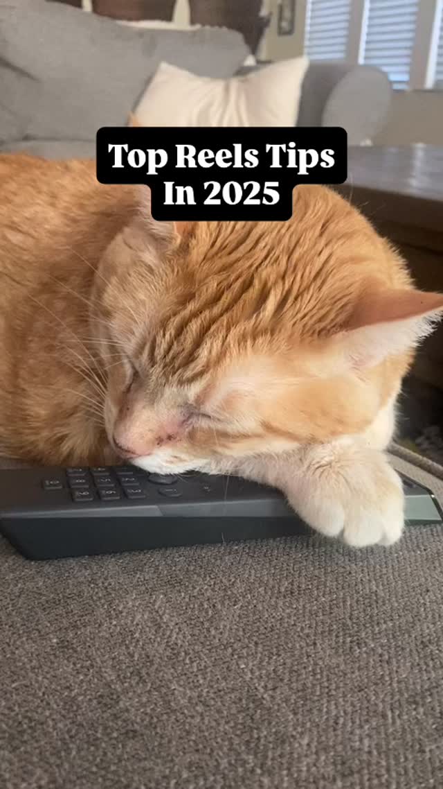 Here’s our pretty little baby Honey giving you the best tips for Instagram Reels in 2025!
Do you need help with Reels for your small business?
I’m here to help!
If we haven’t met, I’m Corey Walker, co-author if 5 bestselling Instagram for Dummies books, and 20-year owner of The Marketing Specialist, a marketing agency in Sacramento.
DM me for a free 15-min consultation for your business!
Instagram Reels
Instagram for Business
Small business marketing