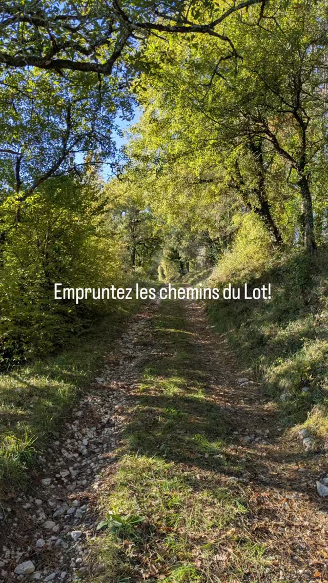 #lespierreslotoises #gitesetchambresdhotes #occitanietourisme #tourisminfrance #ohmylot #enjoylife #cheminsdecompostelle #randonnée #frenchcountryside #naturephotography #naturelovers