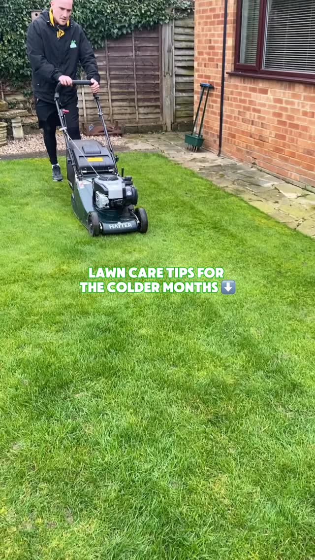 Some lawn care tips you need to know going into the colder months ⬇️
try to mow your lawn at least once a month if you can, if it’s still growing… get mowing! 🌱
keep your lawn clean from leaves to stop them killing your lawn!
remove moss or thatch with a scarifier or rake
aerate to improve drainage for the rainy months!
use a good, lawn feed that is right for this time of year
#lawncare #lawn #gardening #grass #wintergardening