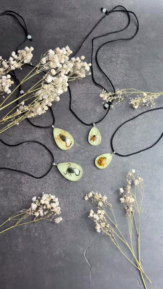 🕷️✨ Did you know we also sell jewellery? ✨🕷️
Alongside our domes, displays, and natural curiosities, we also stock a beautiful range of insect themed jewellery 🖤
Each of these pieces features a real specimen preserved in resin — from tiny beetles to striking scorpions — making them the perfect accessory for lovers of the unusual. Whether you’re after something subtle or a real conversation starter, there’s something in this collection for you.
🪲 Ethically sourced
💎 Uniquely detailed
🌙 Available now on the website: https://www.deadsetco.uk/oddities
Add a little curiosity to your everyday style — shop the jewellery range today!
#CuriosityJewellery #OdditiesAndCuriosities #WearableNature #InsectJewellery #NaturalHistoryStyle #CurioShop