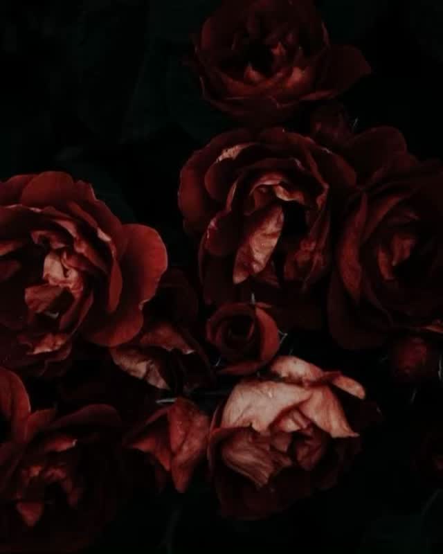 Killian is by far my favorite male character to write. He is dark, complex, and deeply conflicted. My favorite. 😍 #fiction #fantasy #book #mmc #moon #darkromance