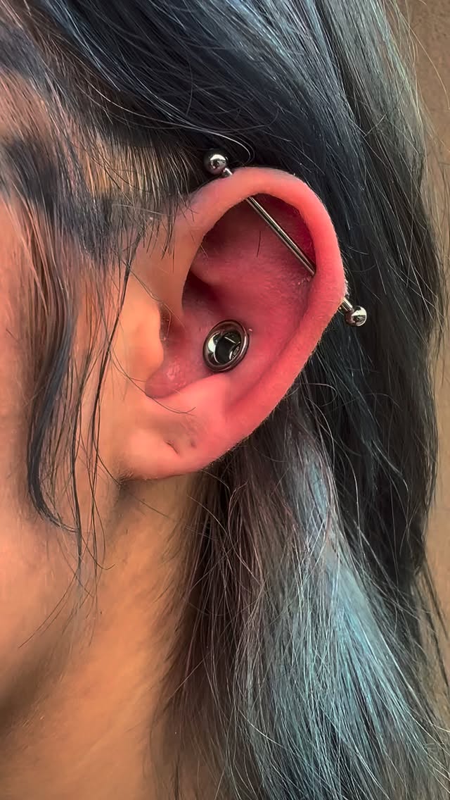 0g conch 🔥🤘🔥
Done crushed needle taper method with a implant grade titanium double flare threaded tunnel 😎
MORE LARGE GAUGE PIERCINGS PLEASE 🙏
- @jeremiahbodymods
#piercingbowlinggreen #safepiercing #legitbodyjewelry #bowlinggreenva #studio100bg #carolinecountyva #lifetimeguaranteed