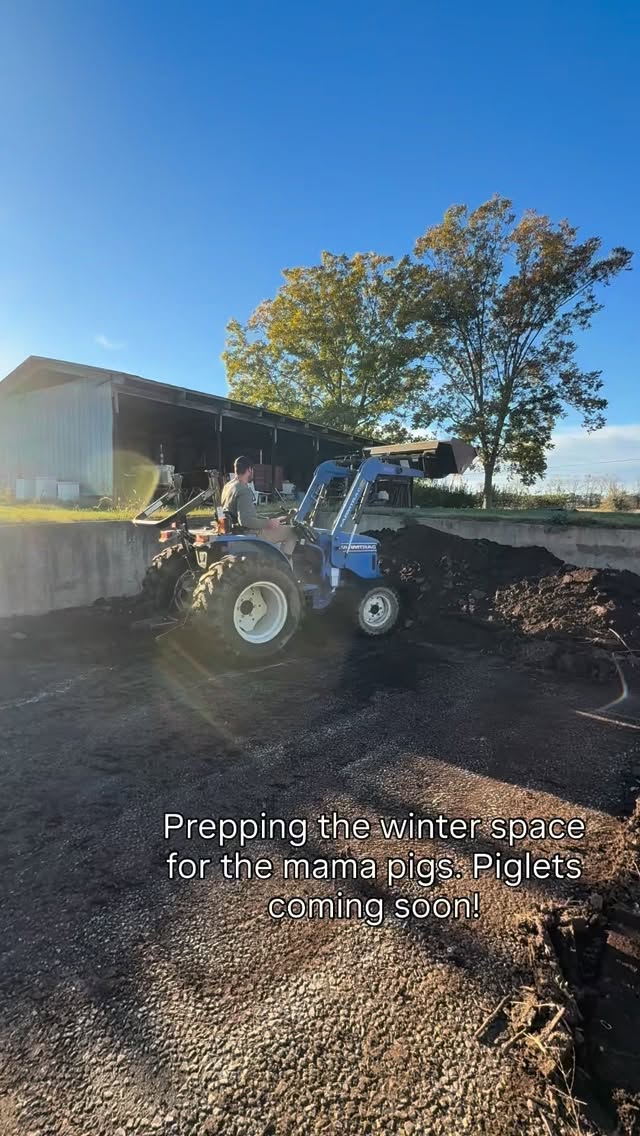 Moving more pigs around the farm. Getting ready for some piglets in the next month!
#familyfarm #smallfarm