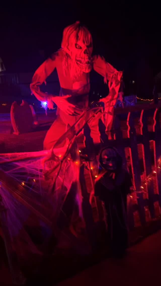 It’s important to safely expose service dogs to new and sometimes spooky environments! By making these experiences positive and rewarding, we help them build confidence and resilience. Just like Atlas did with these Halloween decorations. 👻🐾
#halloweeen #servicedogsofinstagram #servicedogintraining