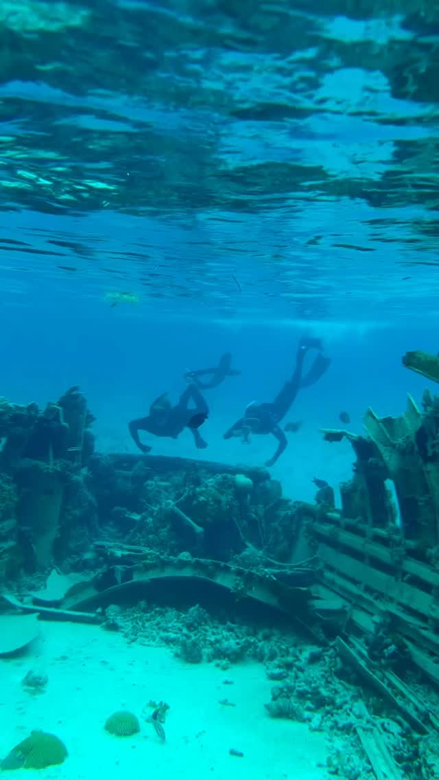 🧜♀️ Sophie and Andrew went diving for ghosts this Halloween 👻, but only found shipwrecks and perfect underwater shots. #ProShotTouchCase — built for fearless explorers. 📸 #ProshotCase