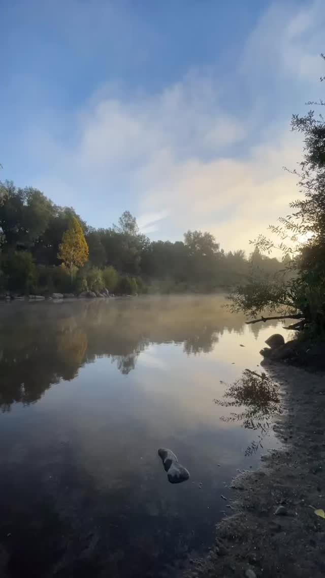 Rolling fog over the river is a magical sight to see 🍂
None of these videos are sped up 🤯
It was really rolling that fast!
#eldoradocounty #southforkamerican #visitgoldcountry #rivercamping #eldoco #sierrafoothills #camplotus #visiteldorado