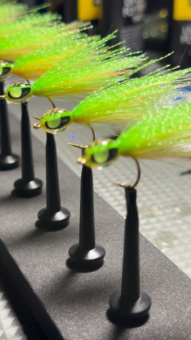 M_Pachi Series - Sticky
#MauiFlyCo #Hawaii #BuiltToProvide #HandCrafted #SaltwaterFlies #LoonOutdoors #Harelinedubbin #Glow