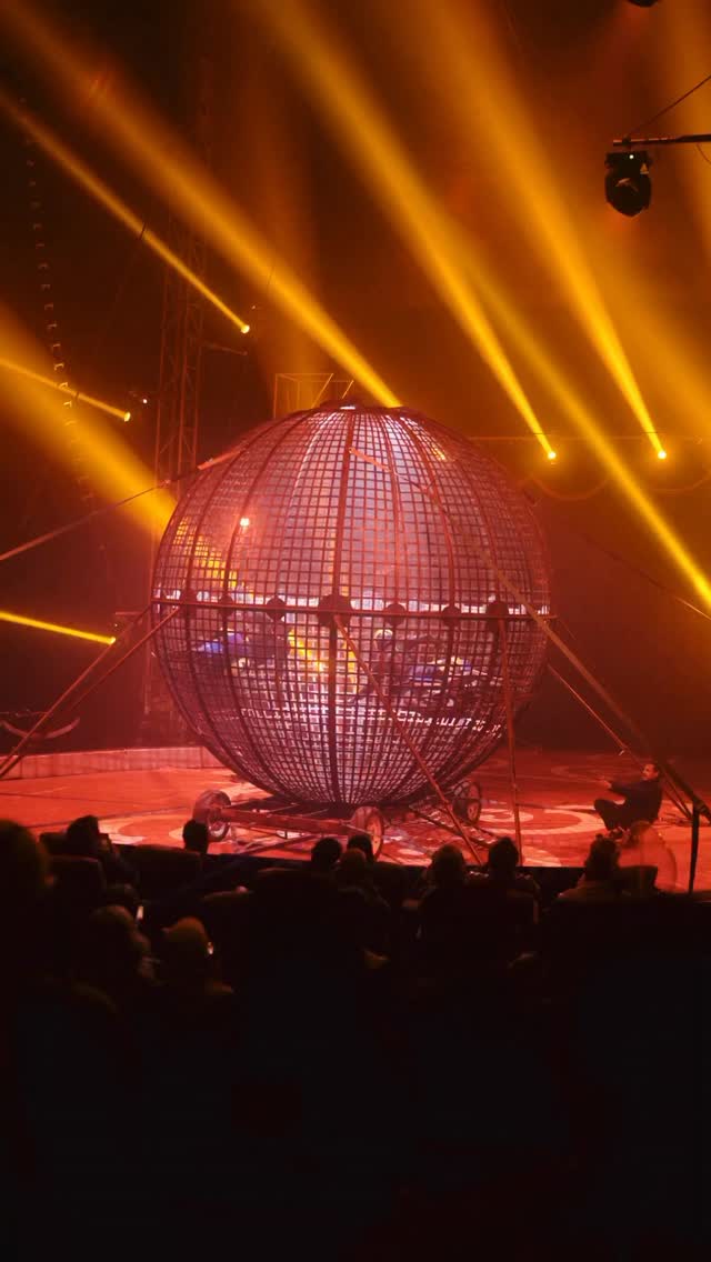 🎪 You think you’ve seen it all?
Not until you’ve experienced Do Portugal Circus!
From heart-stopping acrobatics to laughter, lights, and unforgettable memories — we’re not just a show, we’re a feeling you’ll never forget. 💫
