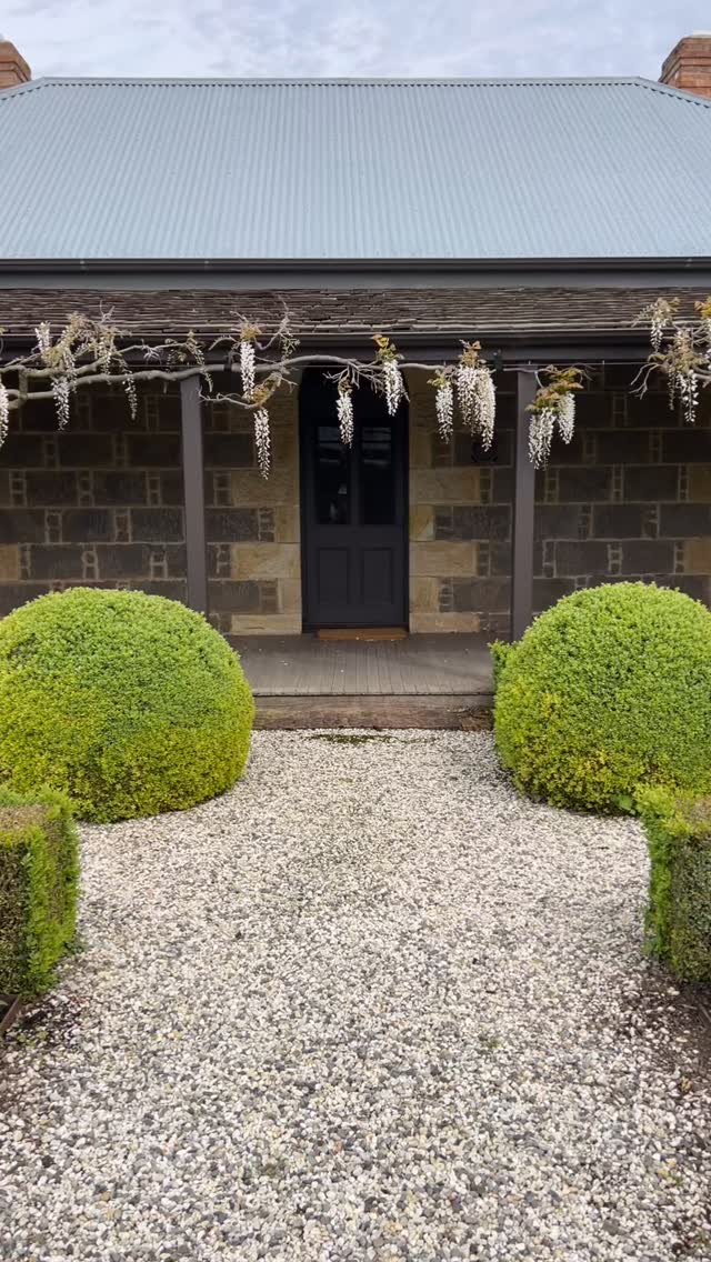 The wisteria is looking good, the Clematis on the Lych Gate is in full flower, as is the Hawthorn in the Fernery.
Spring!
Booking enquiries via our our website or @airbnb
@visitmacedonranges
@piperstkyneton
#kyneton
#kynetonaccommodation
#oldrectorycottage
@nationaltrustvic
#Spring
#wisteria
#bluestone
#oldrectorygarden
#circa1850