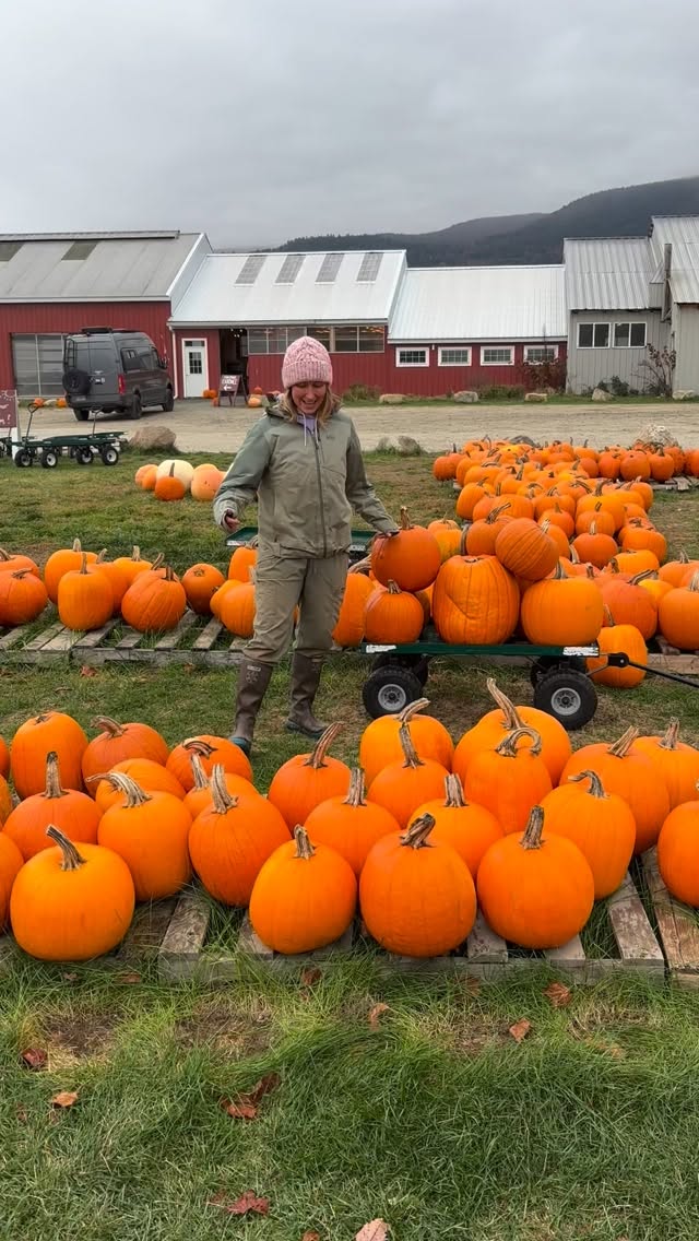 Get in on the Pumpkin Wagon Challenge! Load a wagon with carving pumpkins, wheel it into the stand, for only $40!
Local pumpkins are the best!
Weâre open through Friday 10/31 until 5:30pm!
#supportlocallygrown #buylocal #pumpkins #carvingpumpkins