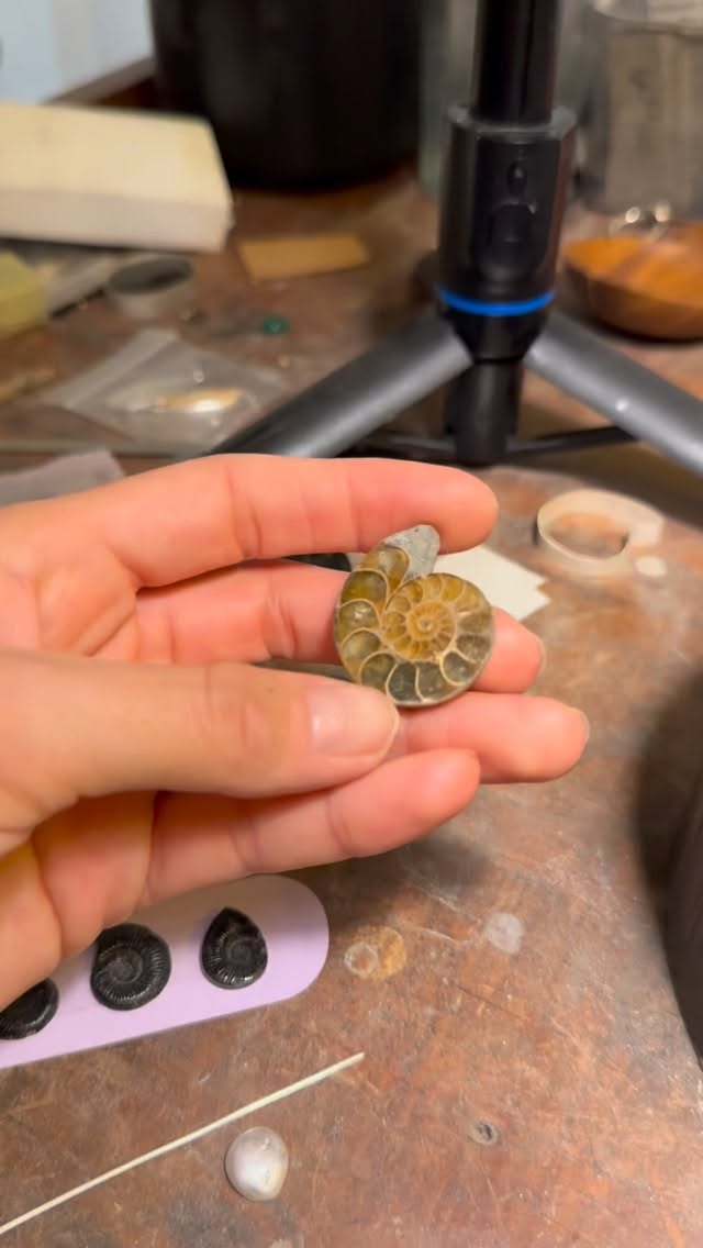 Las conchas son la luz del mar ✨
•
Fósiles Amonitas
•
#amonitas #silverring #silverjewellery #silverearring #fosil