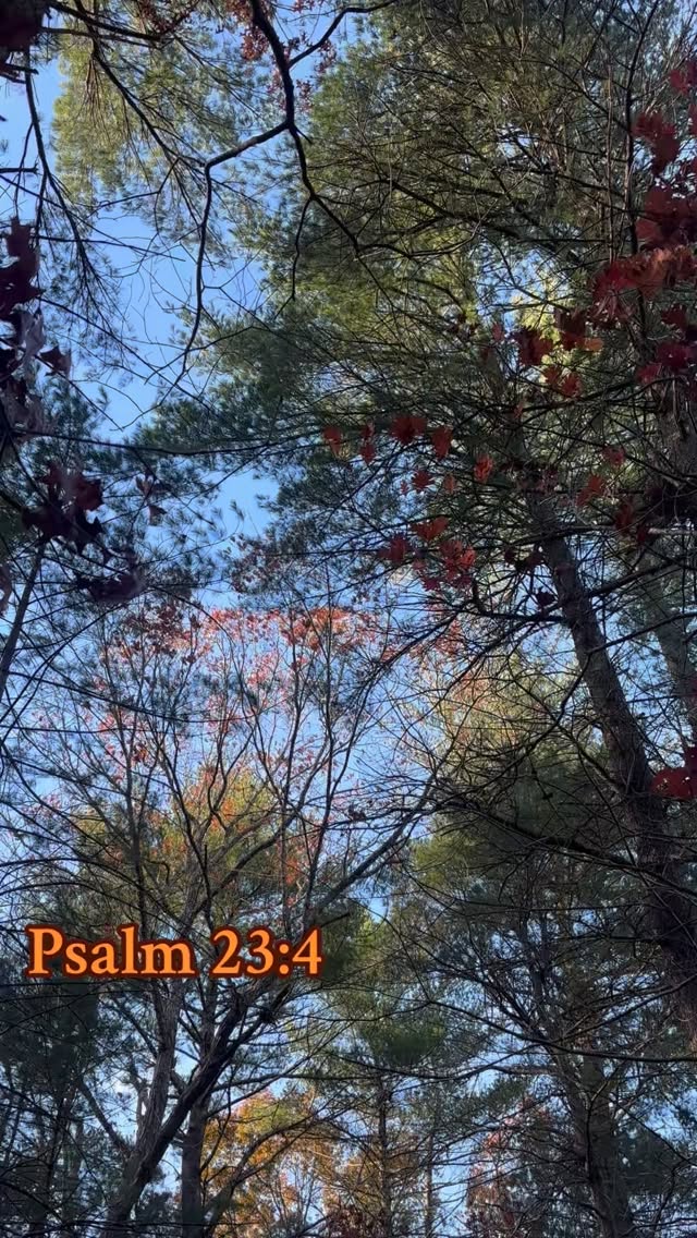 Even though I walk through the valley of the shadow of death, I will fear no evil, for you are with me; your rod and your staff, they comfort me-Psalm 23:4 I used to write this on my tape for game days in college, but I have never meant it more than when I’m in a shaky tree in the woods on a windy day! God bless! #FaithOutdoors #ChristianHunter #MorningBlessings #deerhunting
#GodsCreation #wildernessandworship #godscountry #christianoutdoorsman #hunting #blessedtohunt #massachusetts #deerhunt #buck