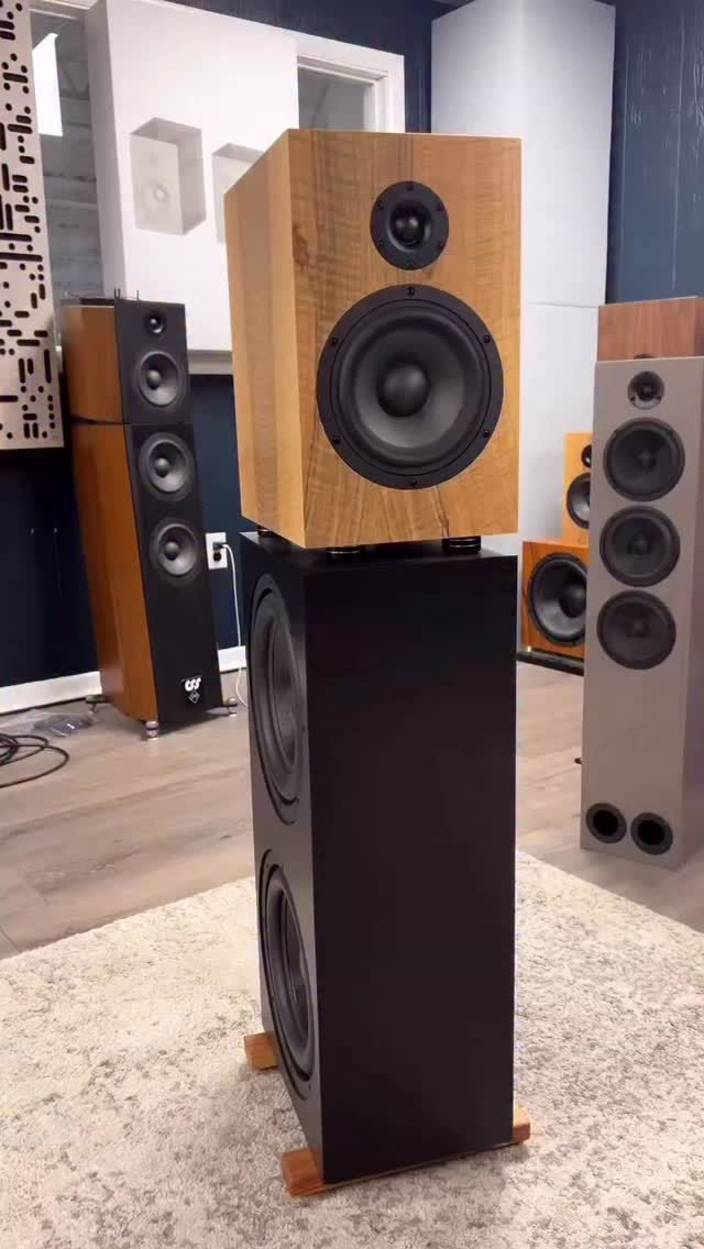 Bass lovers, we have you covered with this bass module add on for our bookshelf speakers 🔊
CSS-audio.com