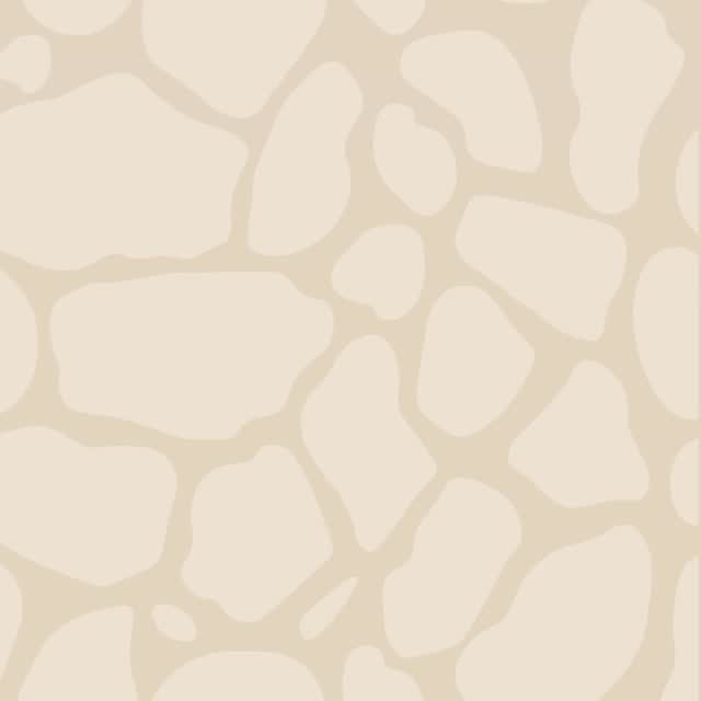 Scared? Good.
That’s how you grow.
You can’t grow if you’re not trying things out —
so be adventurous, be bold.
No risk, no magic.
#wildstar #DreamPlanShine #AuthenticLiving #FearlessLiving #CourageToGrow #BoldDesigns #WomenWhoCreate #MindfulJourney #SouthAfrica #landroverdefender110 #landy #offroadadventures #fourbyfour