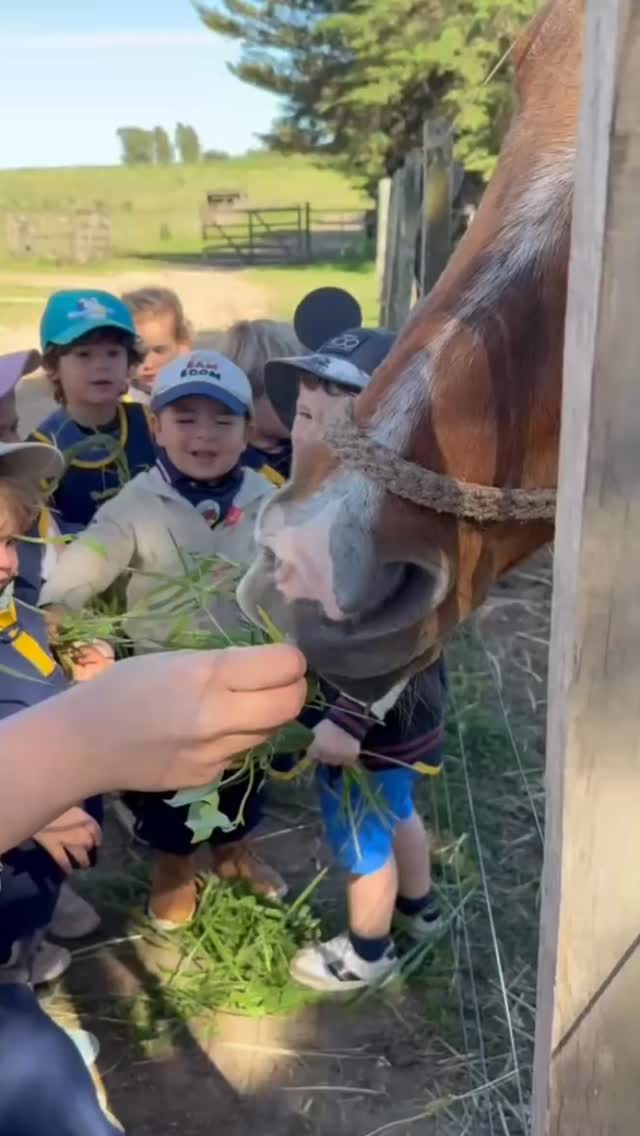 From the classroom to the countryside — our Bunnys’ farm day was full of smiles and discoveries! 🌾✨
Viñedos 💛