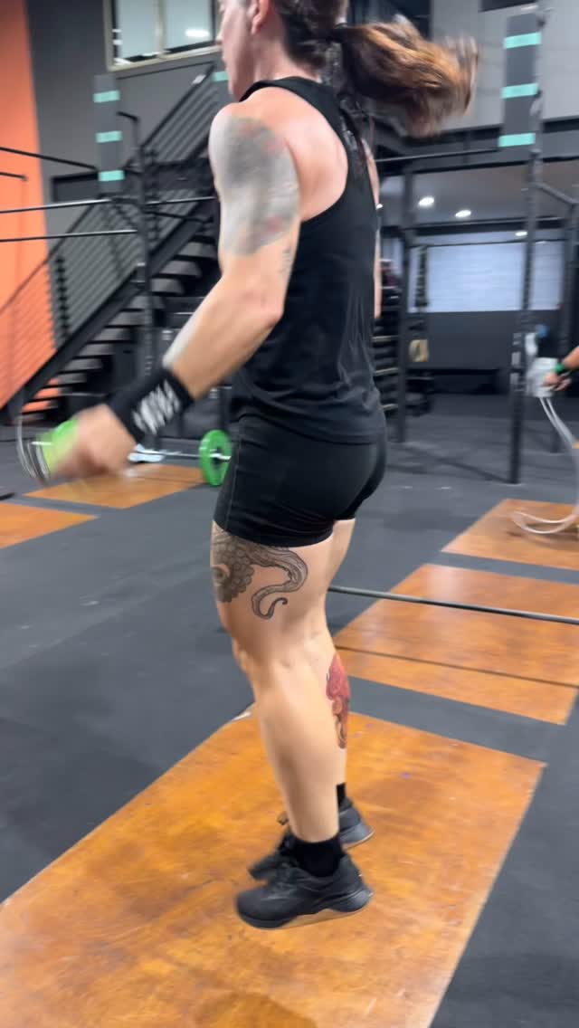 Terry Bull 1.0