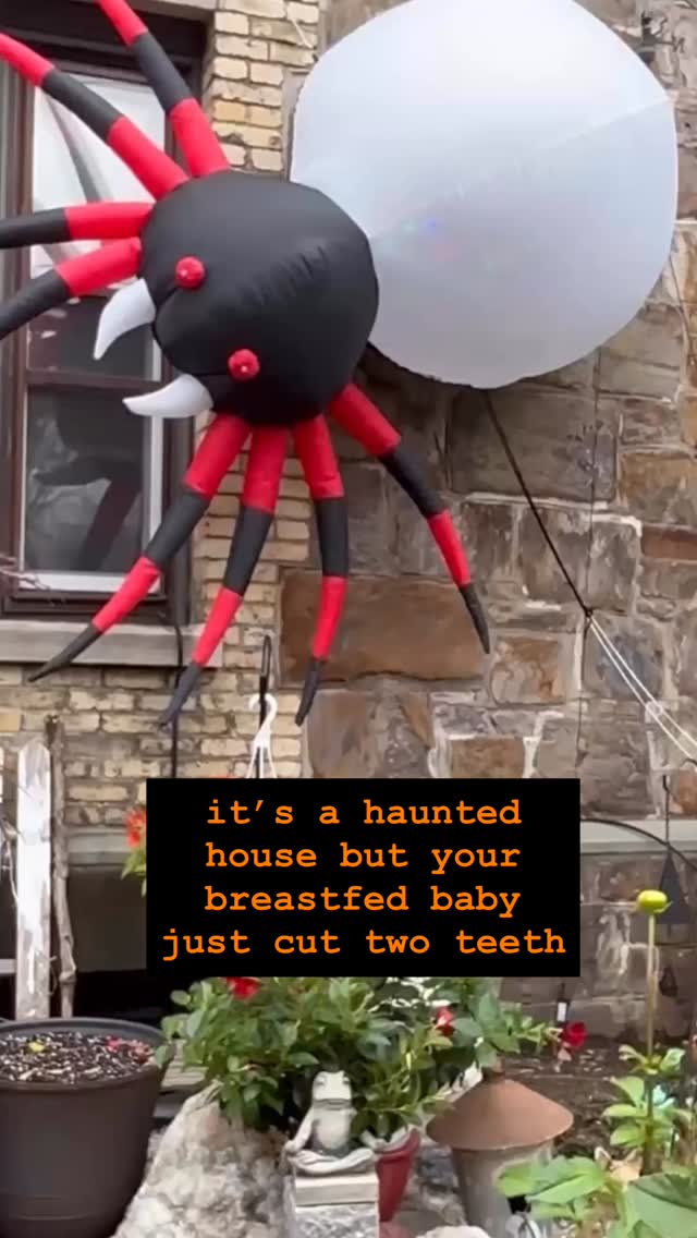 Happy Halloween from Boston Birth Village!😂