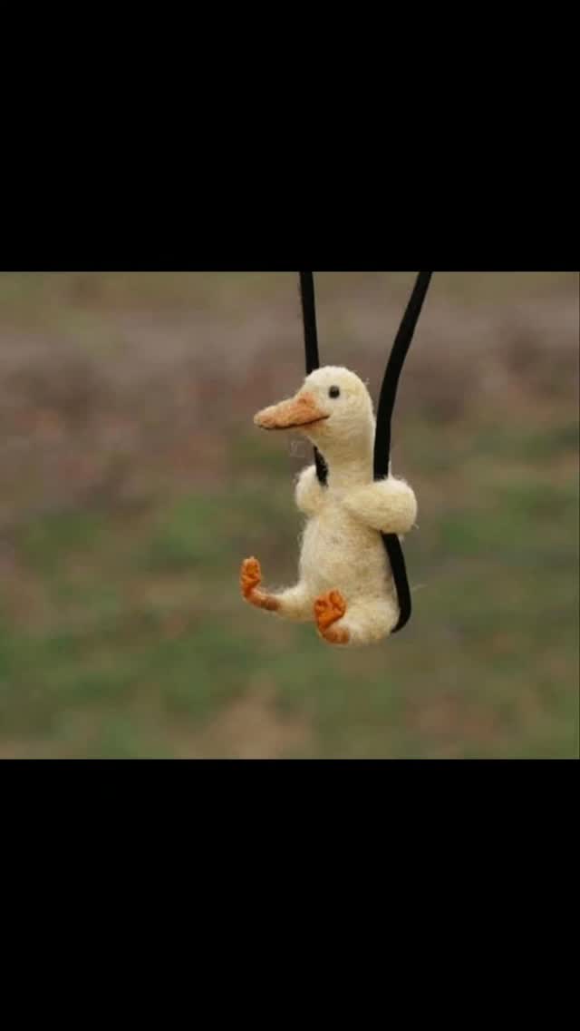 Shipping’s already slowing down 🚚💨 — beat the Black Friday rush and save more with code 25GIFT at Scrubberduckys.com 🐣💚
New giveaways are hatching soon… 🎁👀