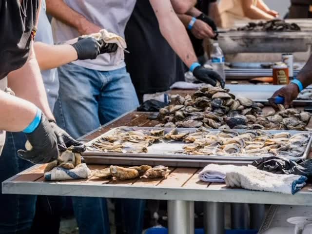 Official photos of #georgiaoysterrevival2025 are out thanks to @justinwiththecamera
What a fun recap of the day. Thank you all. Can’t wait until next year! Look at that last group photo😍 - those are all of the people that spent their Sunday making it happen.
@tybeeoyster
@revivaloystercompany
@e.lmcintosh_son_oyster
@savannahoystercompany
@anchoredshrimp
@chino_noir
@vittoriasavannah
@unclejunesartmachine
@edensupperclub
@sobremesawine
@seawolftybeeisland
@joe_and_veras
@sixbysavannah
@husksavannah
@bubbagumbos
@thelaundrydiner
@darling_oyster_bar
@bwolfenstein
@brochus_restaurant
@saltislandfb
@commonthreadsav
@fleetingsavannah
@twotidesbrewing
@servicebrewing
@limestonewines
@peachstatelite
@sweetwaterbrew
@murrellsrowspirits
@runnershighbrew
@shell_to_shore
@salamanderstudio.sav
@intracoastalplayboys