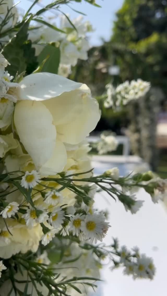 El momento más esperado para Yess & Cris 🥹 EL GRAN SÍ antes Dios 🫶🏻
#weddingplanner #wedding #lifestyle #boda