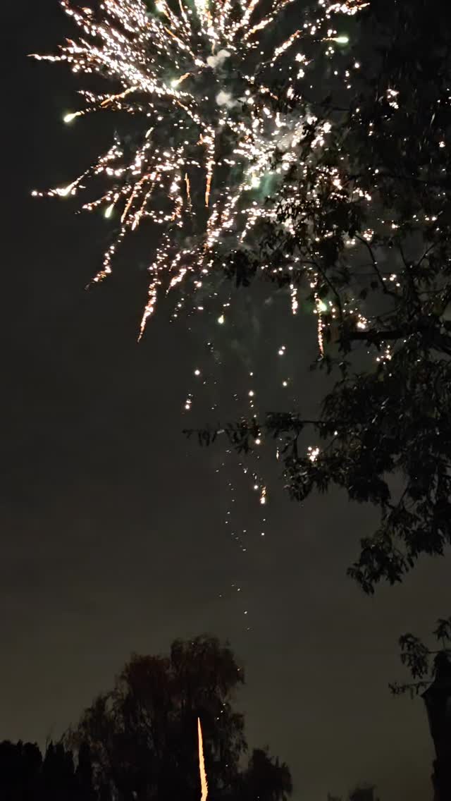 Huge finale at our Fireworks night.
Big thank you to 1st Welling Guides and 4th Bexleyheath scouts for joining us.
As well all fireworks from @tradefireworks