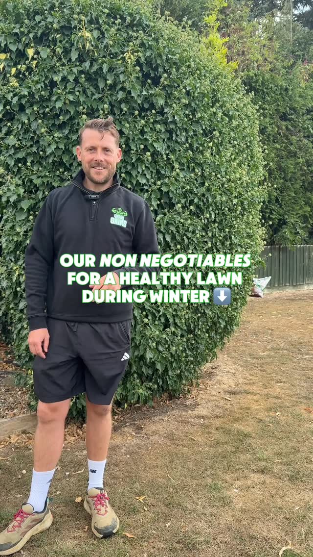 Our four top tips to maintain a healthy lawn during the cold months ⬇️❄️
1) remove the leaves from your lawn to keep it clean and stop dead patches occurring 🍁
2) continue to mow your lawn throughout the colder months if there is still growth 🌱
3) aerate your lawn to help get some air into the soil
4) apply a good winter feed like our black edition 🖤
#grass #lawncare #lawn #gardening