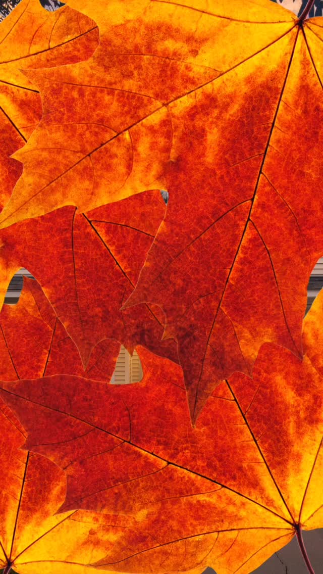 Fresh updates. A quiet, tree-lined setting.
And all within one of Summervilleās most convenient communities.
This updated 3-bedroom home in the Courtyards at Wescott features a private fenced backyard that backs up to the golf course. Zoned for Dorchester District Two schoolsāJoseph Pye Elementary, Oakbrook Middle, and Fort Dorchester High.
š9306 Ayscough Road, Summerville
DM or comment for more detailsāor check the link in our bio.
#summervillehomesforsale #summervillerealestate #summervillerealtor